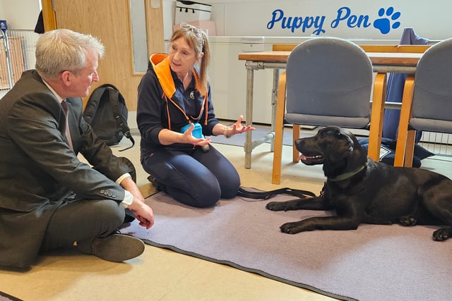 MP learns all about autism assistance dogs