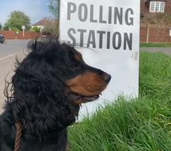 Why the Surrey local elections will be different this year