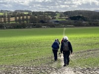 Liphook and District Ramblers enjoy scenic Worldham countryside walk