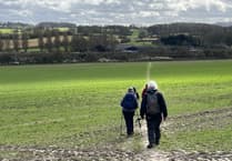 Liphook and District Ramblers enjoy scenic Worldham countryside walk