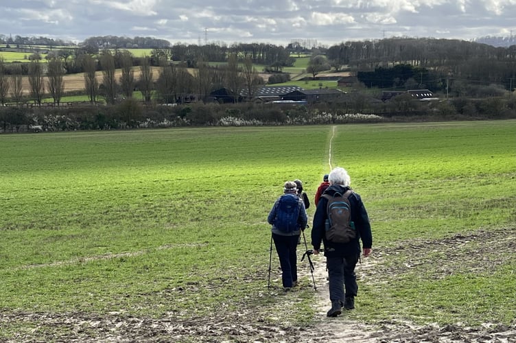 Liphook and District Ramblers on their scenic Worldham countryside walk. Credit: Liphook and District Ramblers