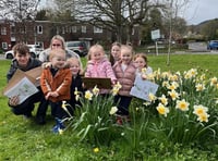 Egg hunt fever as Fernhurst Hub sees biggest turnout yet