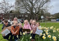 Egg hunt fever as Fernhurst Hub sees biggest turnout yet
