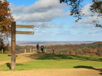 Lifeline for Surrey’s rare heathland as £285k funding secured
