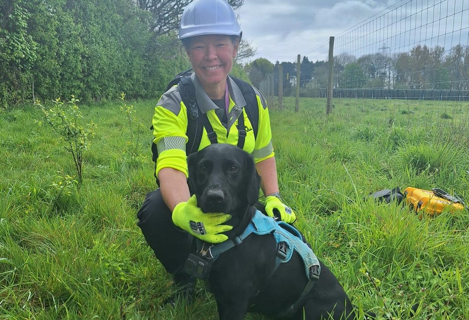 Sniffer dogs take the lead in tracking down leaking pipes in Hampshire