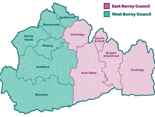 Full list of Waverley candidates for new West Surrey council