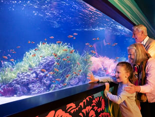 5 Top London Attractions for £59 + Free Theme Park Ticket!*