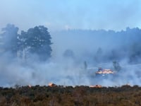 Warning issued after wildfire breaks out on Hankley Common