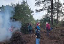 Because the nightjar: Deadwater Valley Trust plays part in bird's comeback