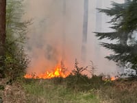 Fire crews tackle major heath blaze on Surrey–Hants border