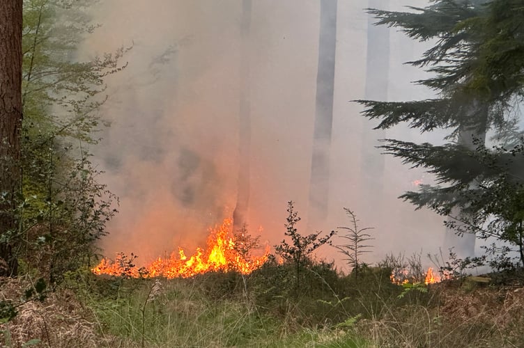 The fire spread to about three hectares of heathland and woodland on Monday evening, the fire service said