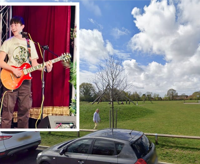 Festival takes shape in memory of teenage musician 