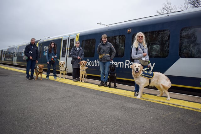 All aboard for puppy training at Hampshire station