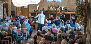 Summer concert from Farnham Sinfonia in Bentley