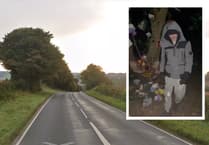 Teen trashed memorial to Meon Valley crash pair - and sent video to friends of victim