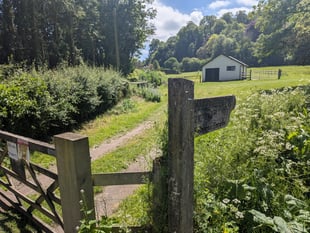 High Street boost as plans for Selborne village shop submitted