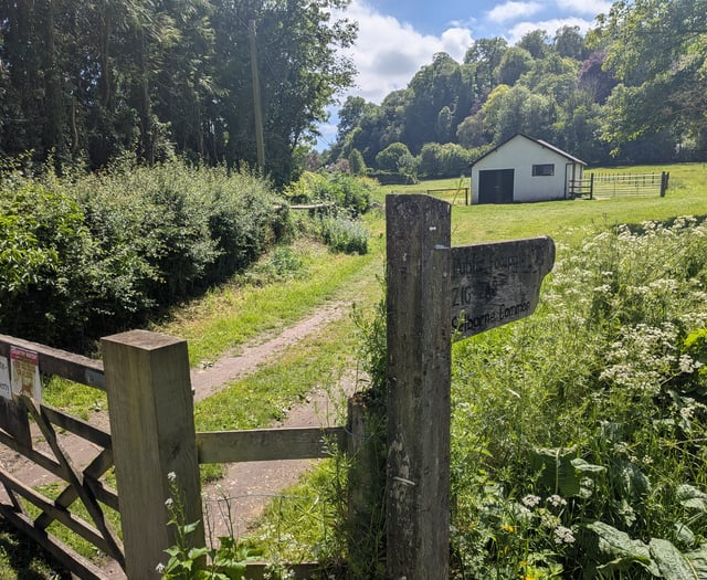 High Street boost as plans for Selborne village shop submitted