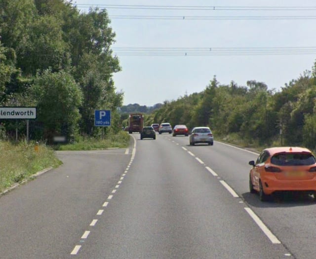 BMW driver fled Bank Holiday collision on A3 near Horndean
