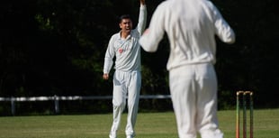 Alton's second team slip to seven-wicket defeat at Hursley Park