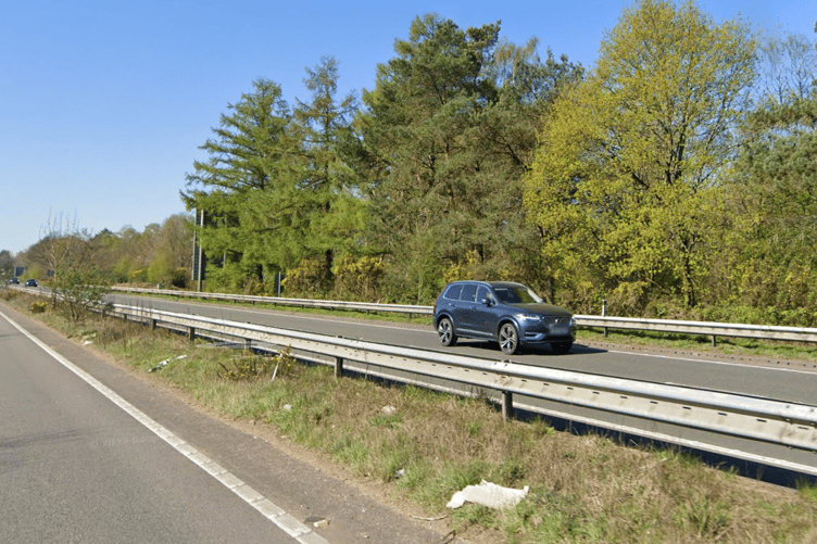 Near the scene of the accident on the A3 at Bramshot Chase.