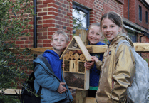 St Mary's pupils help wildlife thrive at new Chiddingfold development