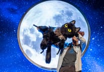 Heroine cat coming to life on stage through puppetry