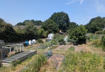 The plot thickens as Bordon allotment holders get big freeze