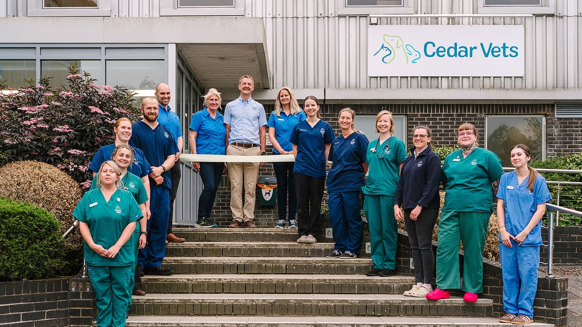 Cedar Vets in Alton launches 24-hour animal care service