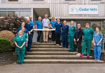 Cedar Vets in Alton launches 24-hour animal care service