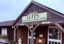 Peeps into the Past: A Luff's story worth celebrating