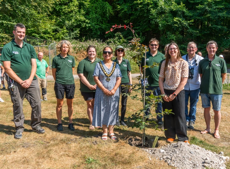 PP QECP Tree Planting