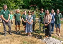 Tree-mendous: 50 years of Queen Elizabeth Country Park