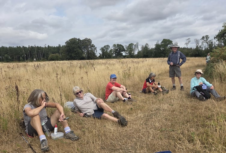 # Picture caption
Liphook & District Ramblers enjoy spectacular views towards the Isle of Wight during their latest 8½-mile walk from Stansted Forest.