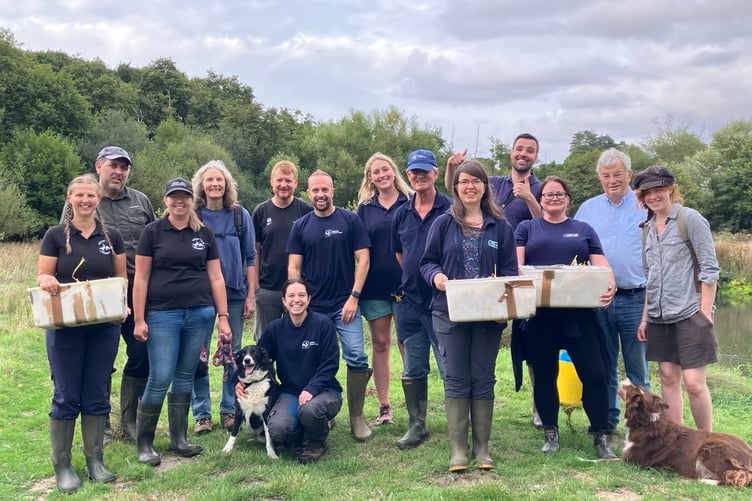 National Trust Surrey Wildlife Trust water vole release