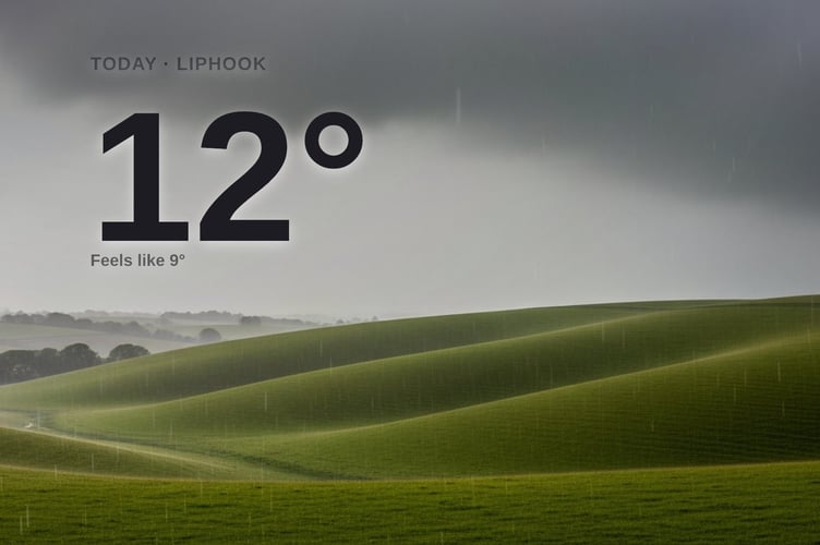 Liphook weather: heavy rain Friday with rain expected and a high of 11°C