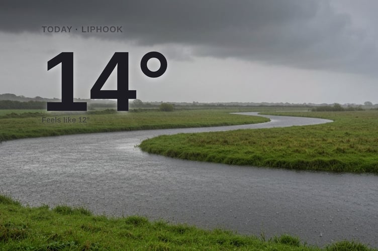 Liphook weather: heavy rain Thursday with rain expected and a high of 14°C