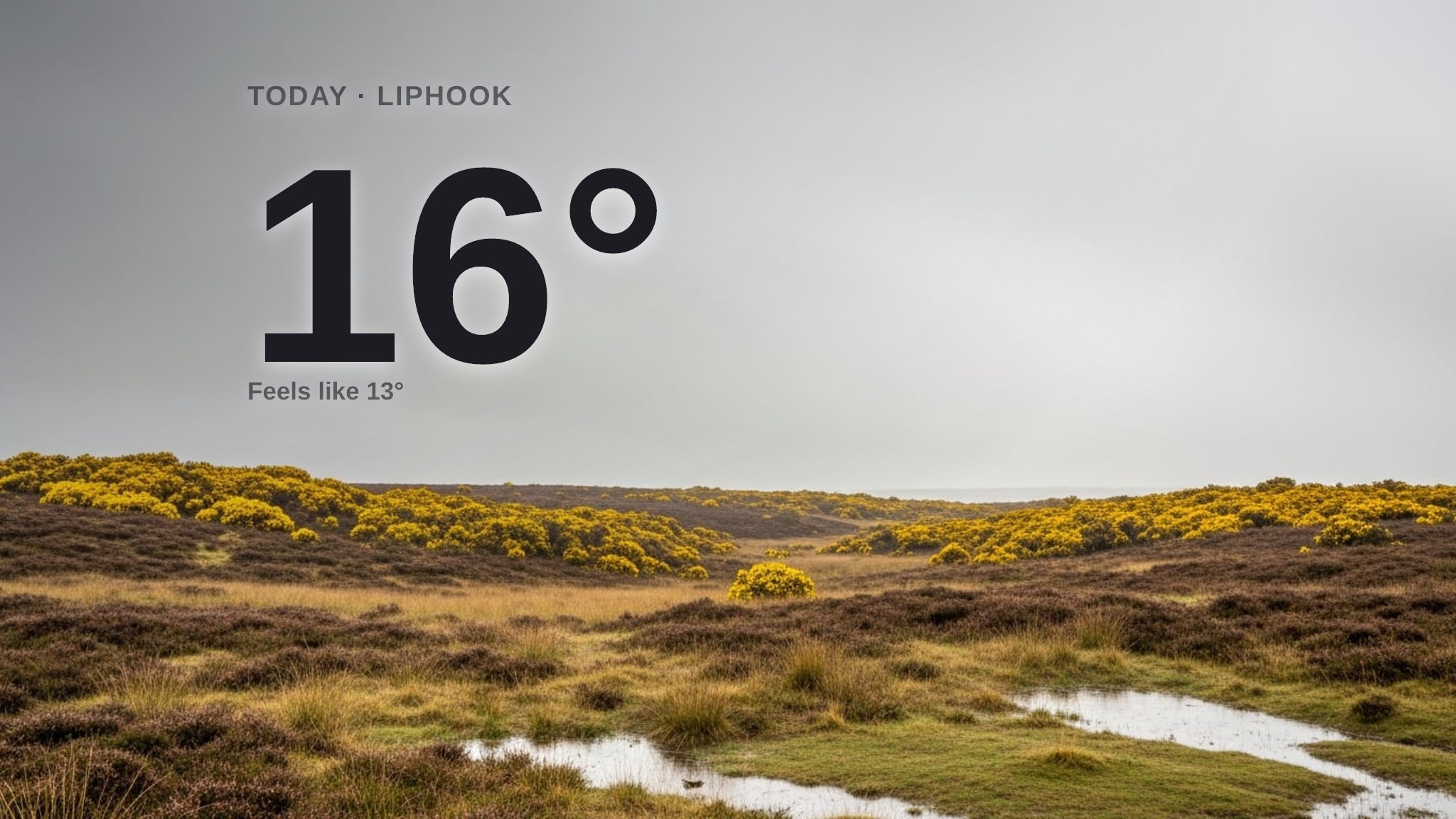 Rain on the way for Liphook today - here's your Monday forecast