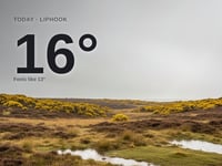 Liphook: cloudy day, high of 16°C