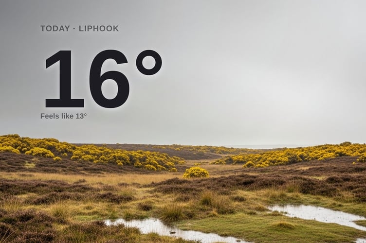 Liphook weather: cloudy Monday with rain expected and a high of 16°C