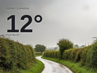 Liphook: rainy day, high of around 11°C