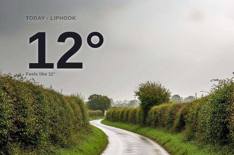Liphook weather: rainy Tuesday with rain expected and a high of around 11°C