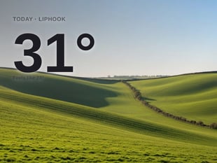 Liphook: sunny day, high of 31°C