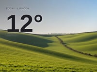Liphook: sunny day, high of 12°C