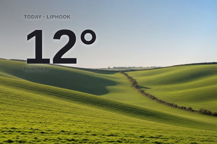 Liphook weather: sunny Sunday with little chance of rain and a high of 12°C