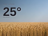 Liphook weather: sunny, 25°C high on Friday