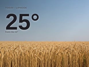 Liphook weather: sunny, 25°C high on Friday