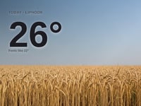 Liphook: sunny day, high of 26°C