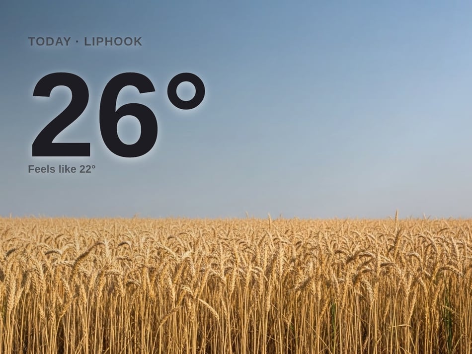 Liphook: sunny day, high of 26°C