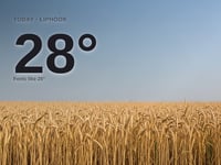 Liphook: sunny day, high of 28°C