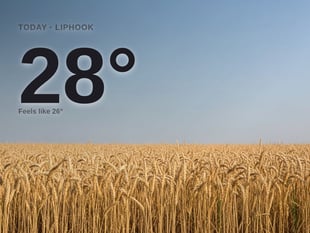 Liphook: sunny day, high of 28°C